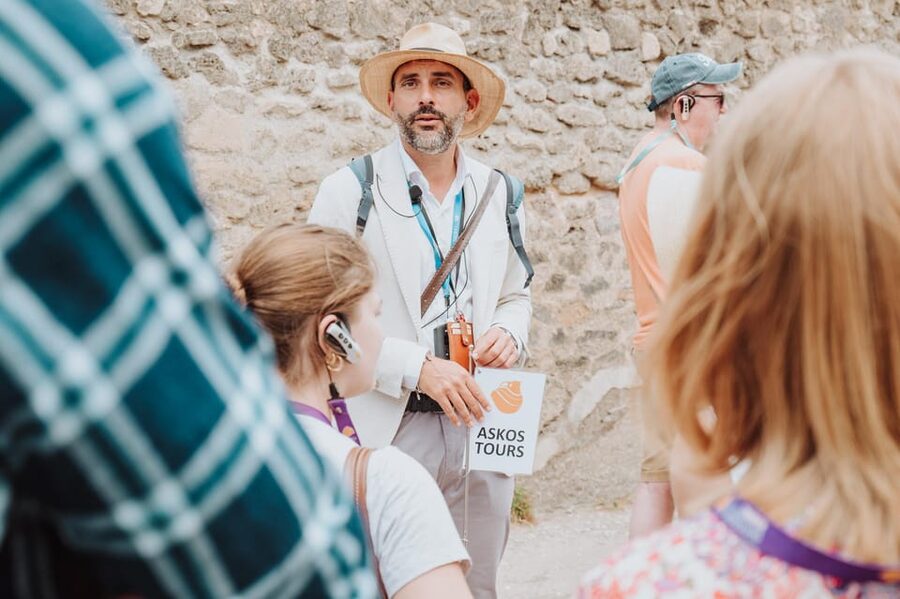 2-Hour Pompeii Child-Friendly Tour - House of the Faun and House of the Vettii