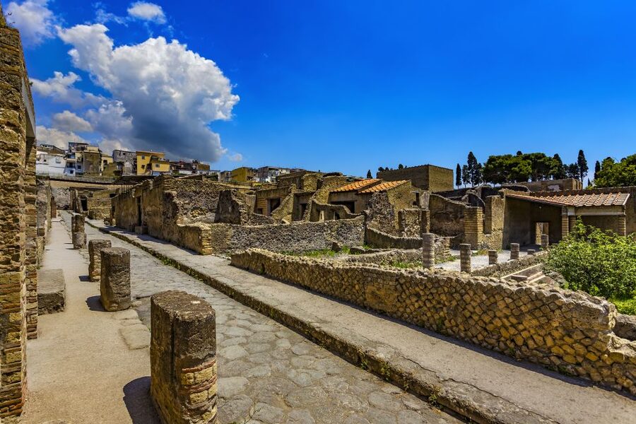 2-Hour Private Tour of the Ruins of Herculaneum - The House of the Albergo and its quince garden