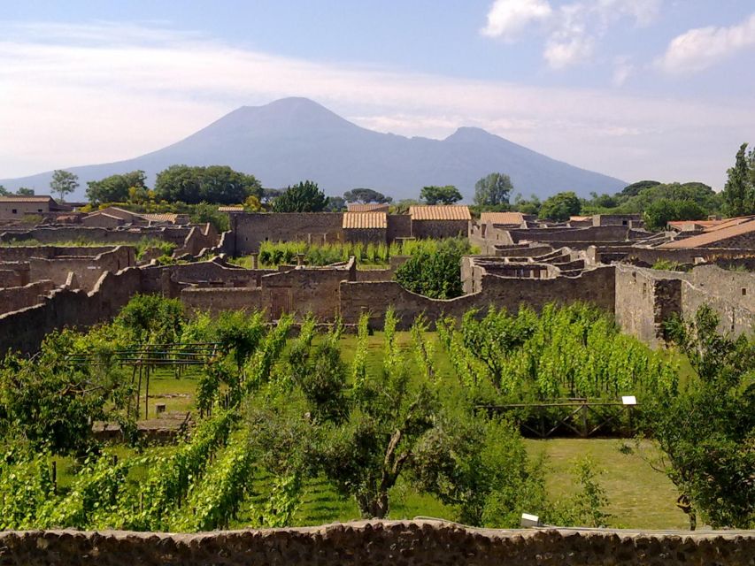 2-Hour Private Walking Tour of Pompeii - Bakeries, taverns, and Roman fast food