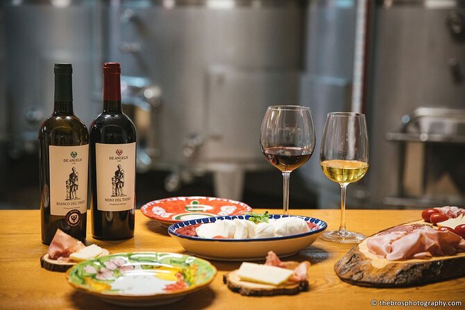 2-hour tasting of 5 wines in Sorrento - Key points at a glance