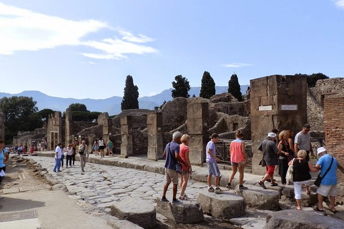 2 hours Pompeii Tour with Local Historian - Ticket Included - The Main Sights and the Pace