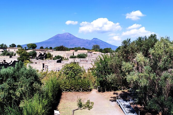 2 Hours Private Tour in Pompeii with Archaeologist - Octavius Quartio’s house and its outdoor dining space