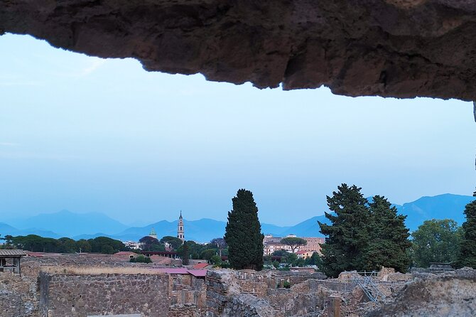 2 Hours Private Tour in Pompeii with Archaeologist - Giulia Felice and the private side of Pompeii