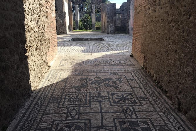 3-Hours Private Walking Tour in Pompeii with an Archaeologist - Why an archaeologist changes the Pompeii visit