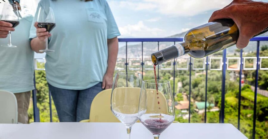 5 Wine Tastings with Typical Products in Sorrento Coast - Booking Details Worth Knowing