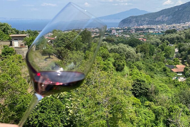 5 Wine Tastings with Typical Products in Sorrento Coast - What the service is like
