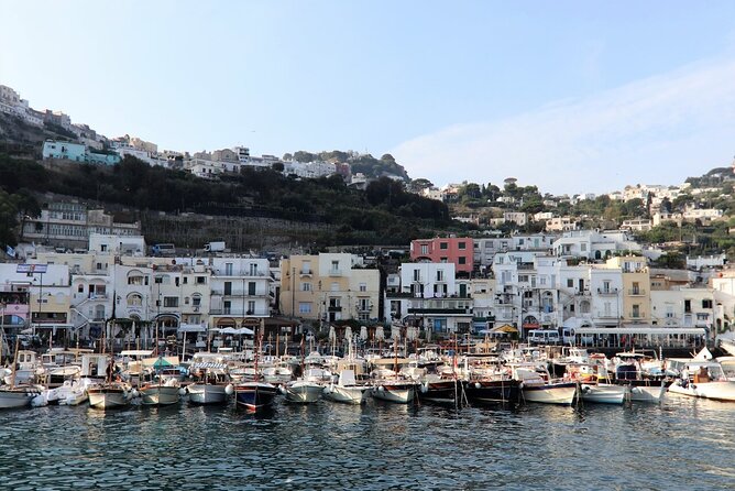 All-Inclusive Capri and Anacapri with Blue Grotto Visit - Gardens of Augustus and the Faraglioni views
