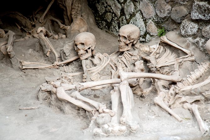 All inclusive Herculaneum Skip the Line Tour From Sorrento - Starting at Piazza de Curtis in Sorrento