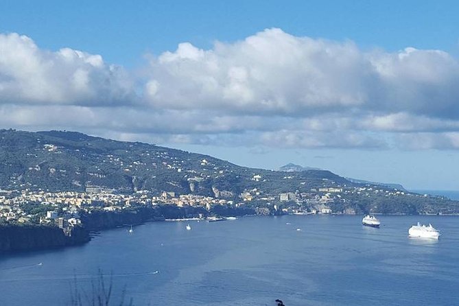 Amalfi Coast and Surrounding Area - What the guide adds to the day