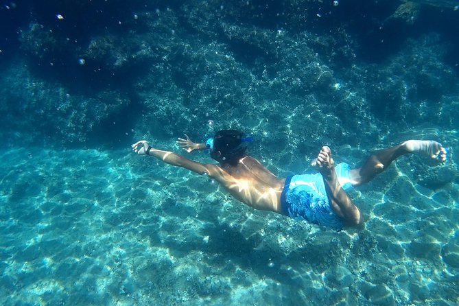 Amalfi Coast Kayak Tours from Marina del Cantone - Key points to know before you book
