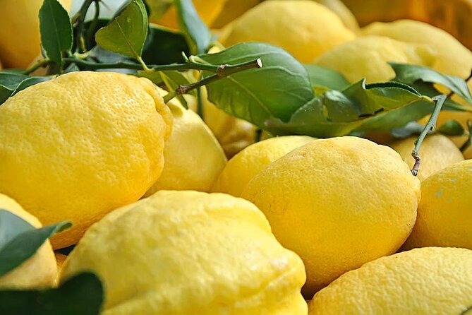 Amalfi Coast - Maiori: Path of Lemons Tour with Tasting - Starting in Maiori and Climbing Above the Bay