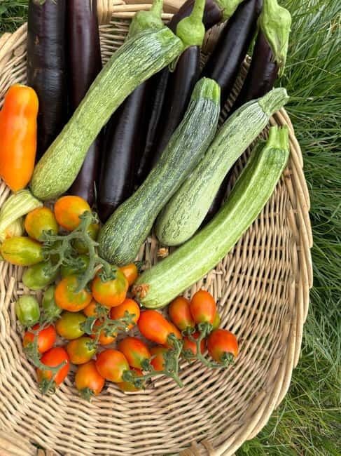 Amalfi Coast: Mozzarella, Pasta and Tiramisù Cooking Class - What the Teaching Style Adds