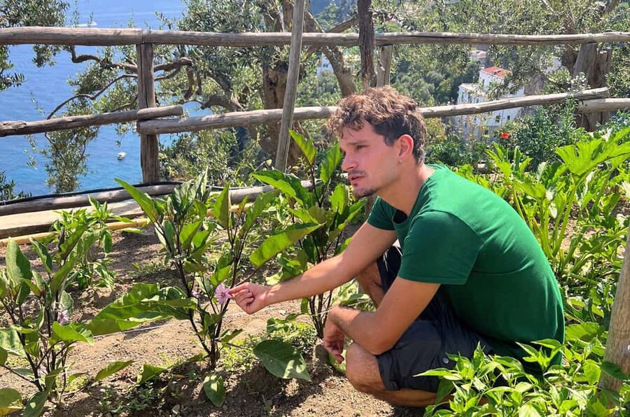 Amalfi Coast: Pizza & Mozzarella Class with Farmhouse visit - Getting to Amalfi Heaven Gardens