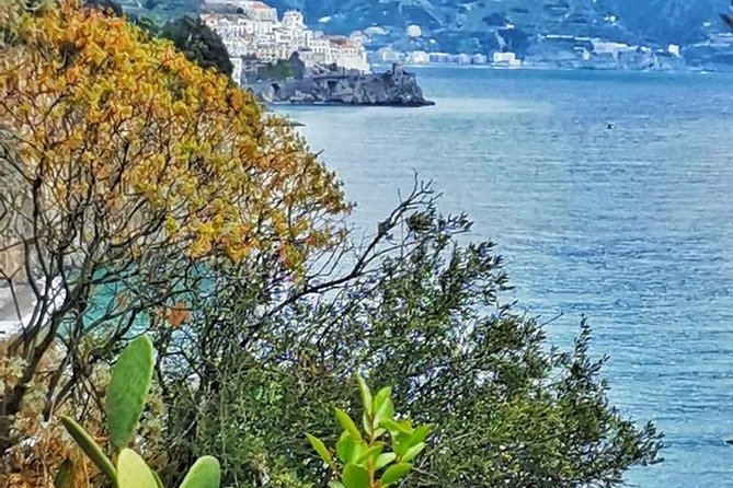 Amalfi Coast Private Tour from Sorrento: Exclusive Mercedes Van - What the driver adds to the day