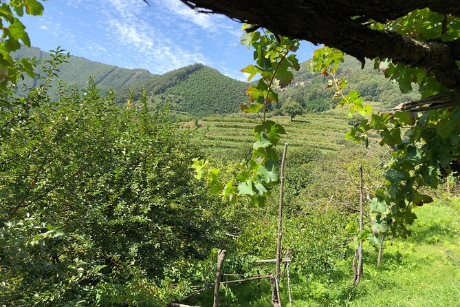 Amalfi coast private tour with Amalfi Ravello and Wine Tour from Positano - Positano and the first coastal stop