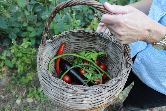 Amalfi Coast & Sorrento Cooking Class School at Farmhouse - From Sorrento hotel to hillside farmhouse