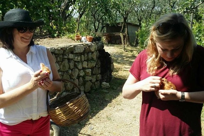 Amalfi Coast & Sorrento Cooking Class School at Farmhouse - Family hospitality and the farmhouse atmosphere