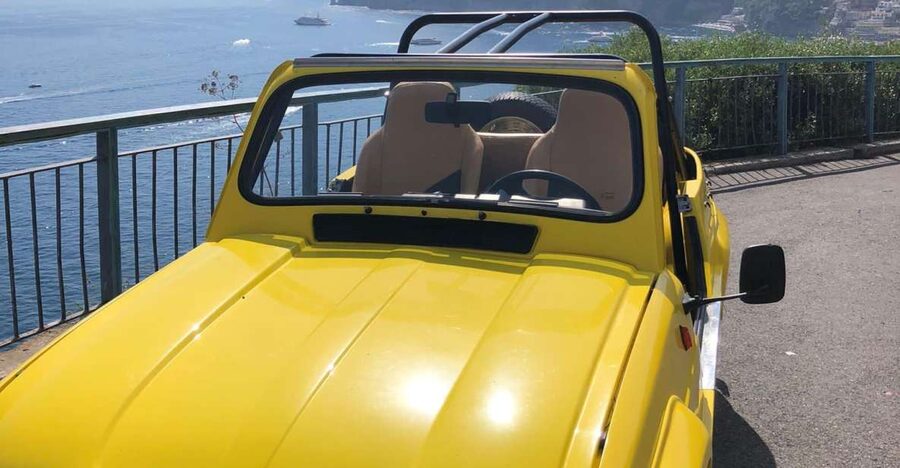 Amalfi Coast vintage tour with cheese and wine tasting - Tintore wine in the vineyard