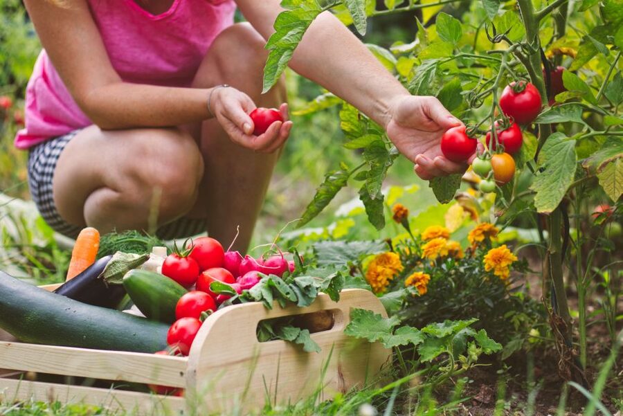 Amalfi: Cooking Class and Farmhouse Visit With Meal - Who should book this class?