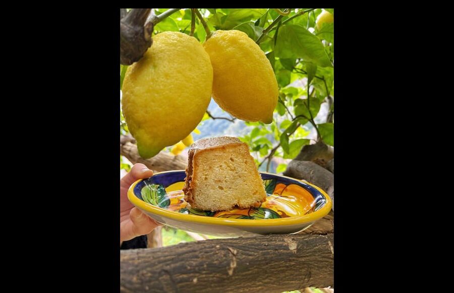 Amalfi Organic Lemon Tour & Tasting in the Historical Garden - Is $59 a fair price?