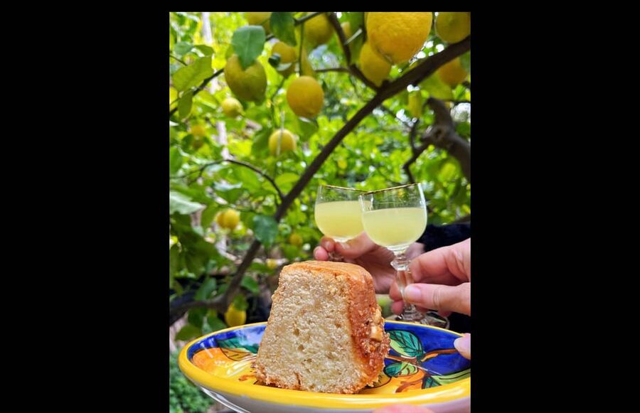Amalfi Organic Lemon Tour & Tasting in the Historical Garden - The sea-view break and the tasting table