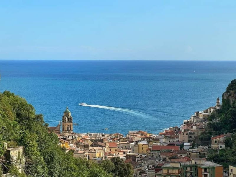 Amalfi Organic Lemon Tour & Wine Tasting + Dinner or Lunch - Walking through a working organic garden