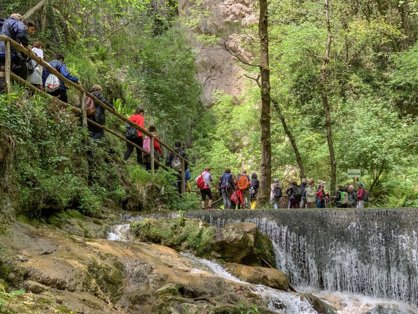 Amalfi: Private Valley of the Mills Nature Reserve Tour - Returning to Amalfi with an optional farmhouse meal