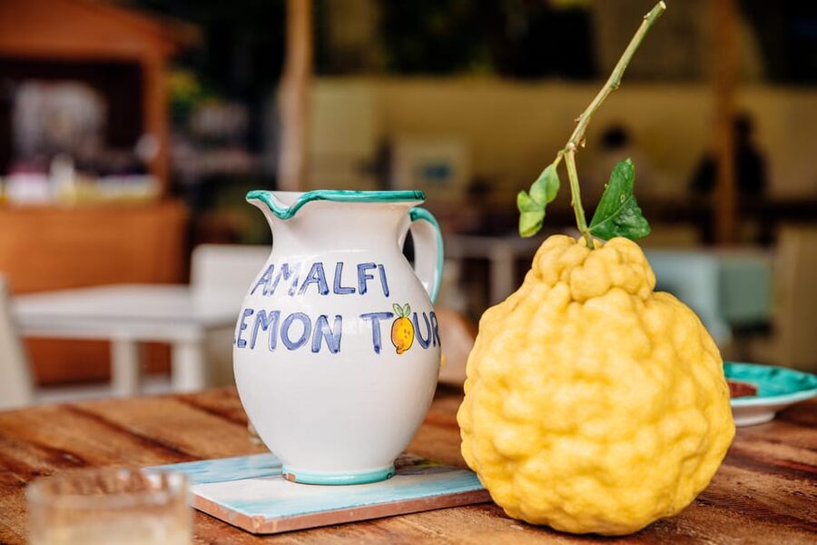 Amalfi: Vertical Lemon Farm Tour, Tastings, and Rural Museum - Inside the limoncello laboratory