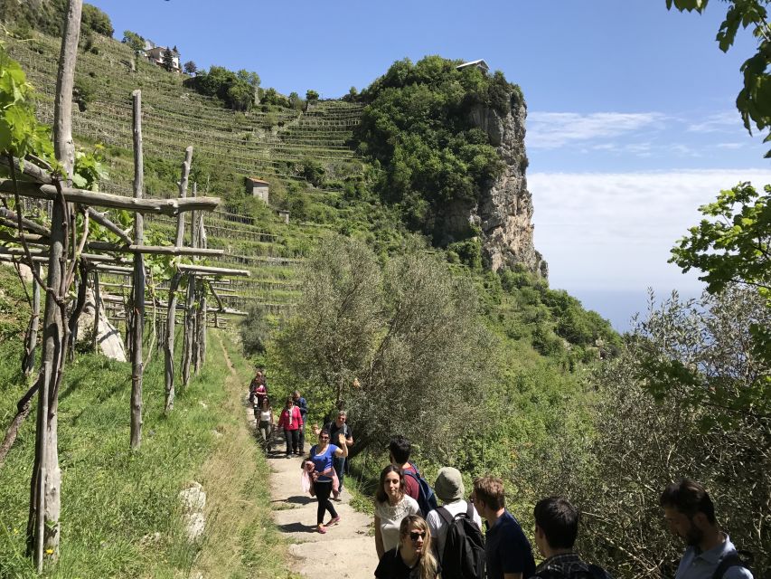 Amalfi: Walking tour between Furore vertical Vineyards - Key points to know before you book
