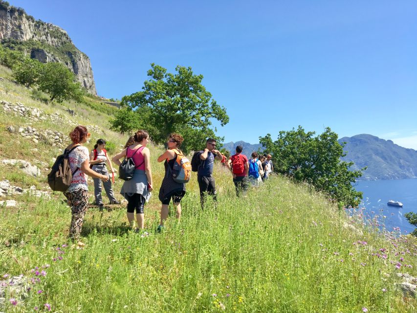 Amalfi: Walking tour between Furore vertical Vineyards - How much value does the $236.77 price offer?