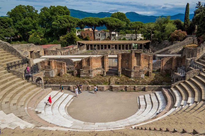 Ancient Pompeii Private Tour: Skip the Line & Kid-Friendly Option - The Forum, Basilica, and Temple of Apollo