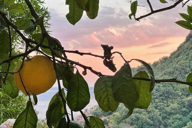Authentic Amalfi Lemon Tour & Tasting in the Historical Garden - The uphill route to the lemon terraces
