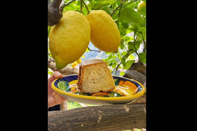 Authentic Amalfi Lemon Tour & Tasting in the Historical Garden - The tasting: lemonade, limoncello, and lemon cake