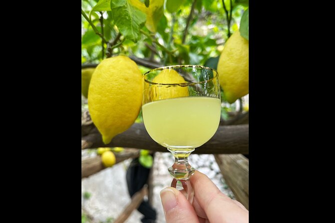 Authentic Amalfi Lemon Tour & Tasting in the Historical Garden - What the views add to the visit