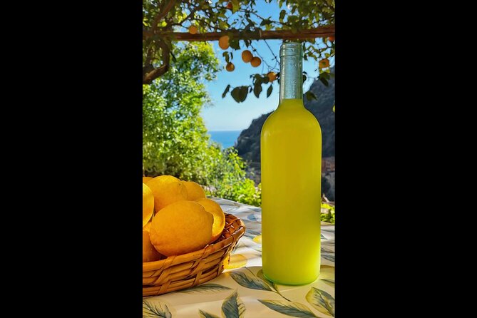 Authentic Amalfi Lemon Tour & Tasting in the Historical Garden - Who will enjoy this most?