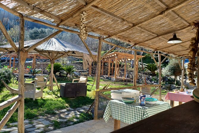 Authentic Farm Tour with Pizza, Cheese, Wine & Limoncello Tasting - A farm afternoon above Sorrento