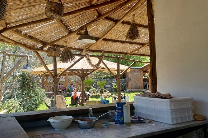 Authentic Farm Tour with Pizza, Cheese, Wine & Limoncello Tasting - Timing, meeting point, and transport details