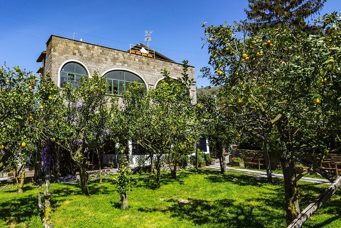 Backroads & Limoncello Experience: Sorrento E-Bike Tour - Key points to know before booking
