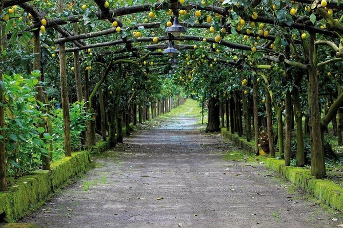 Backroads & Limoncello Experience: Sorrento E-Bike Tour - How hard is the ride?