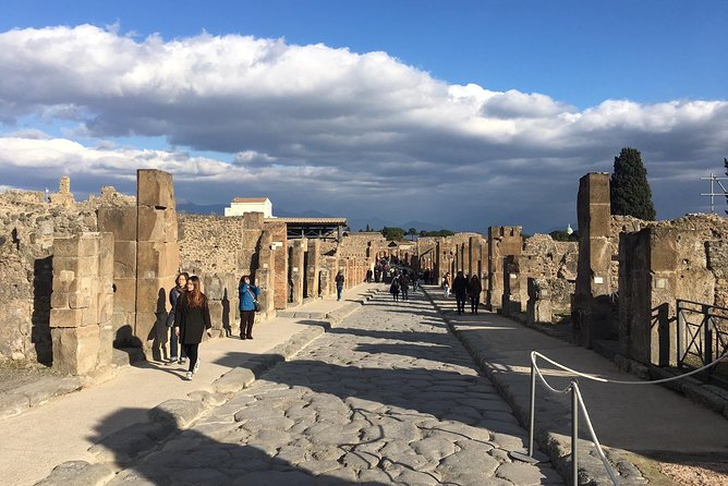 Best of Pompeii & Herculaneum: Private Tour with an Archaeologist - Timing, walking, and practical comfort