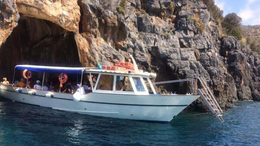Camerota: boat tour exploring Baia Infreschi - Key points to know before you go