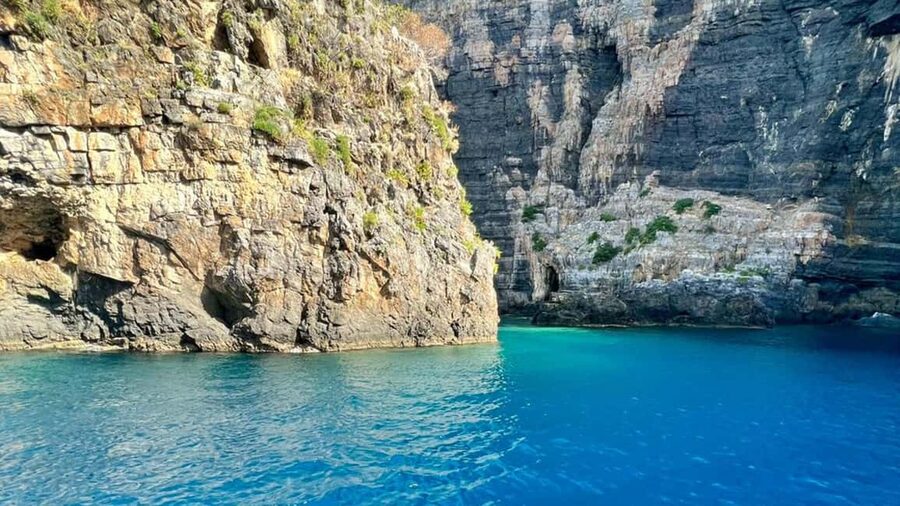 Camerota: boat tour exploring Baia Infreschi - Sea caves, marine life, and the view from the boat