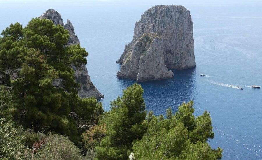 Capri and Anacapri Full-Day Tour - A smooth crossing from Sorrento to Capri