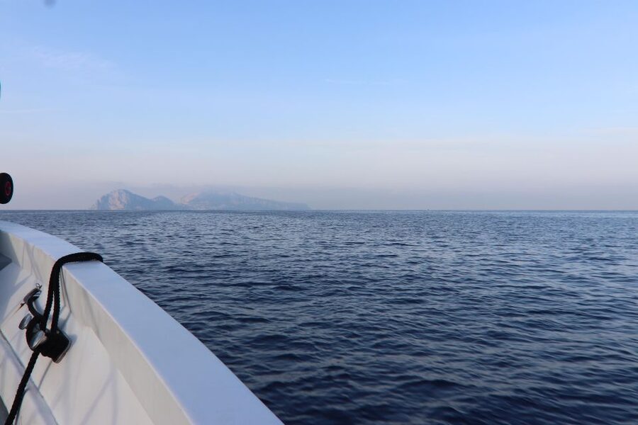 Capri and Anacapri tour: Faraglioni and Caves from Sorrento - What the $160.35 price really covers