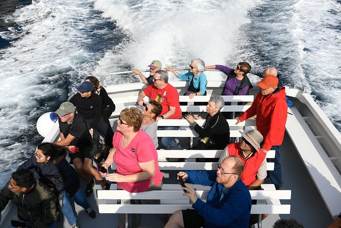 Capri Coast to Coast: Boat Tour with Optional Blue Grotto - Natural Arch, Malaparte, and Punta Carena