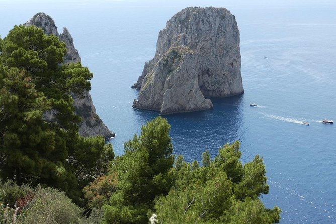 Capri Day and Night from Sorrento Small Group Tour - From Sorrento to Punta Campanella