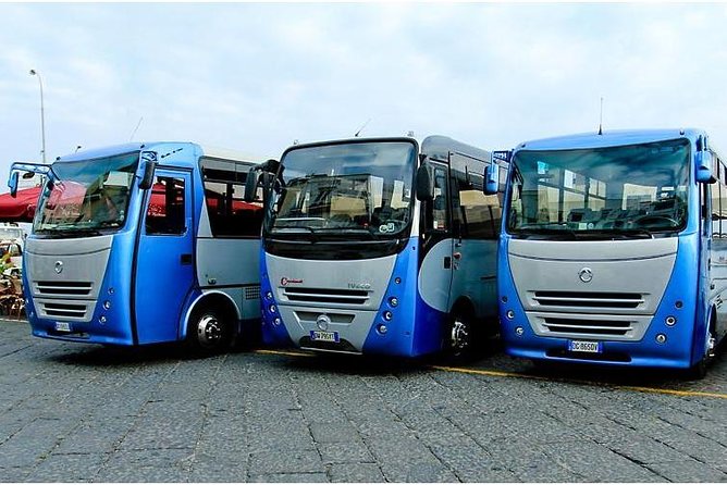 CAPRI - DIY Day Trip Package - BoatTour, BlueGrotto,Bus&Lunch - How to plan the day without racing
