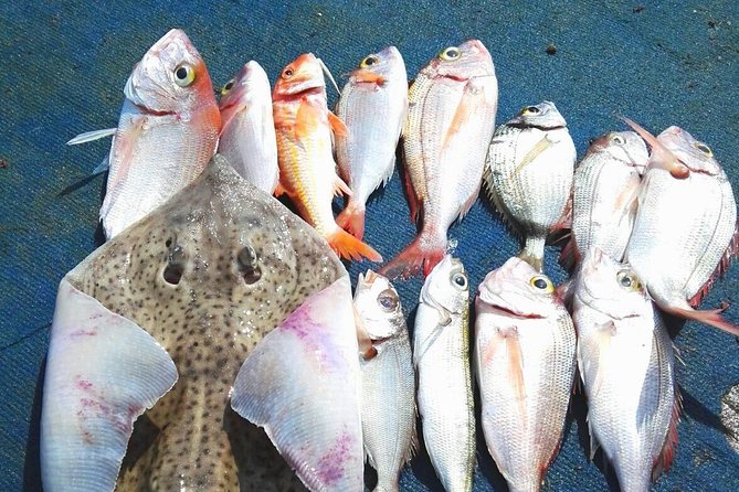 Capri Fishing Excursion with Snorkeling and Lunch from Sorrento - Key points to know before booking