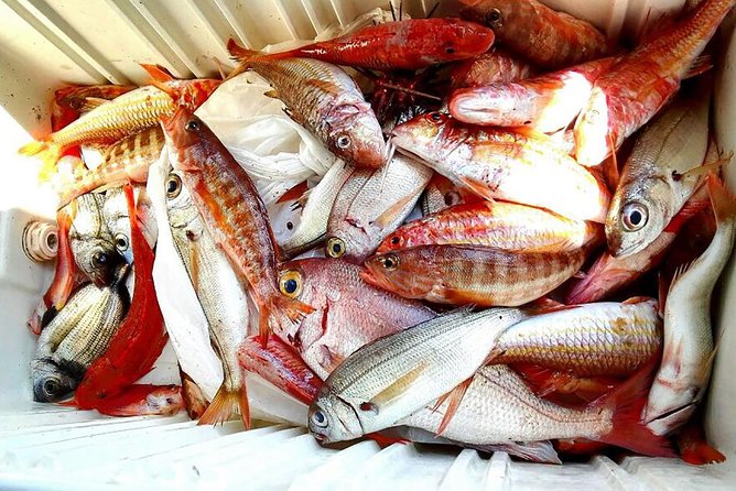 Capri Fishing Excursion with Snorkeling and Lunch from Sorrento - Lunch prepared aboard with the catch of the day