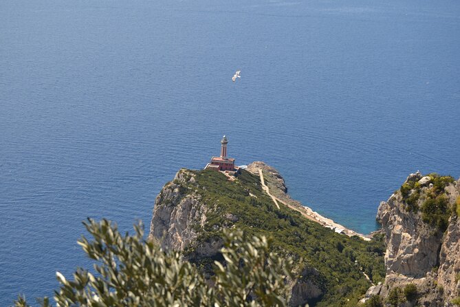 Capri Island and Blue Grotto Small Group Day Tour from Capri Port - Why this six-hour Capri tour works